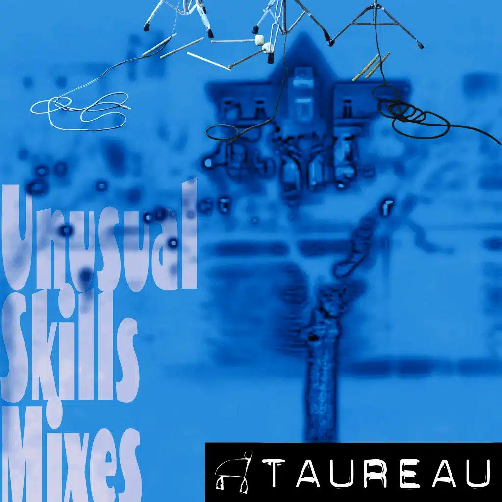 Unusual Skills (Kugk Mix)
