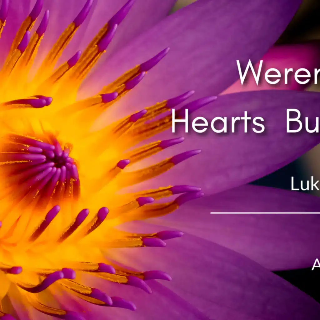 April 23, 2023 : "Weren't Our Hearts Burning?" - Luke 24:13-35