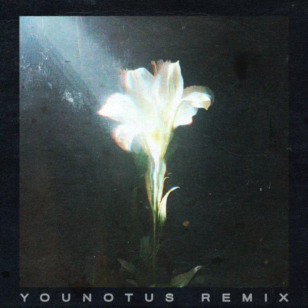 Light That Leads Me (feat. Bebe Rexha) [YouNotUs Remix]