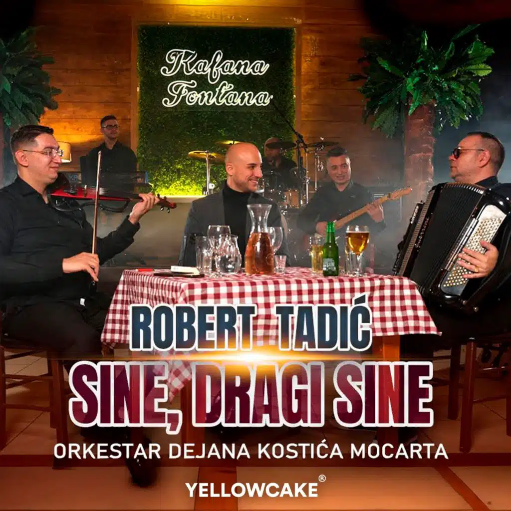 Sine, dragi sine (feat. Orkestar Dejana Kostića Mocarta)