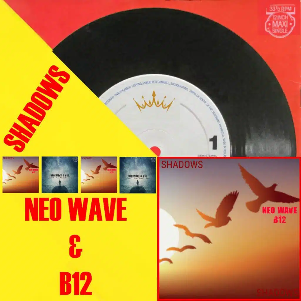 Neo Wave & B12