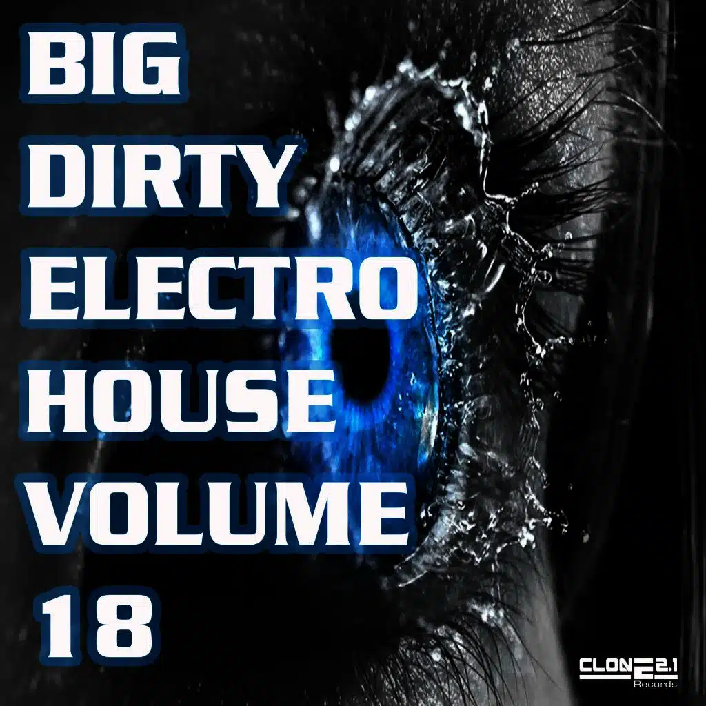 Big Dirty Electro House, Vol. 18