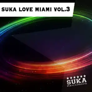 Suka Love Miami, Vol. 3