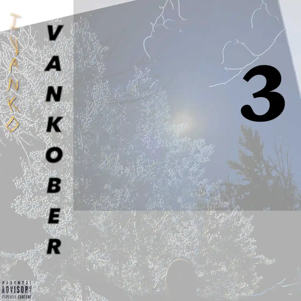 VANKOBER 3