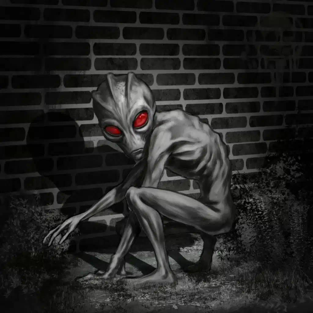 The Alien of Varginha