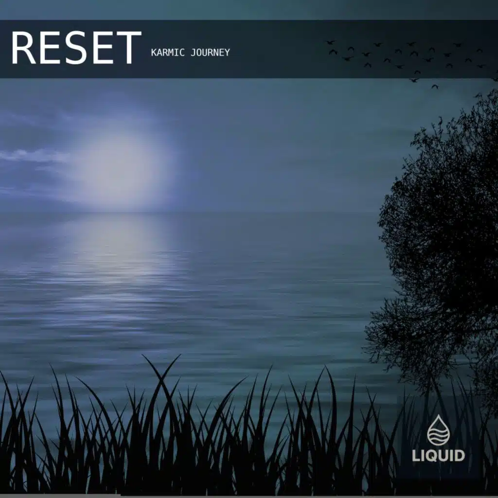 Reset