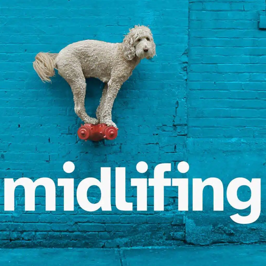 256: Manic pixie dream boy