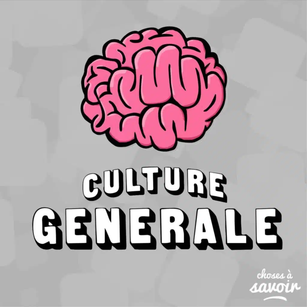 Pourquoi parle-t-on de “kakistocratie” quand tout va mal ?