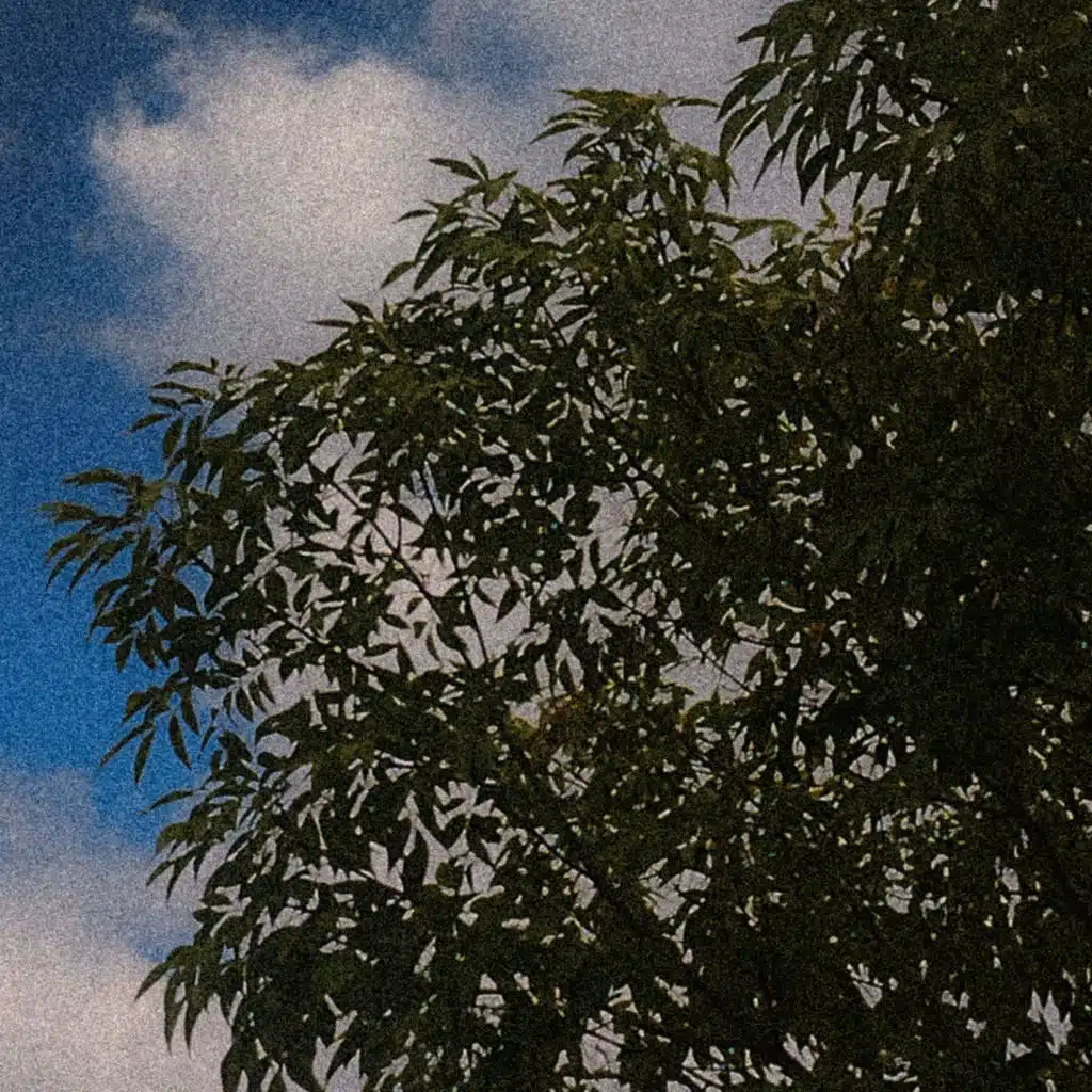 jueves veinticuatro de octubre