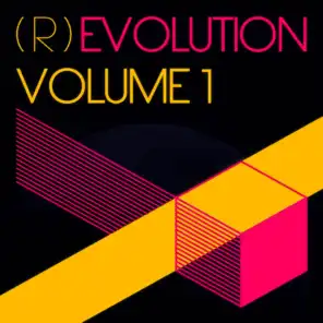 Revolution - Evolution, Vol. 1