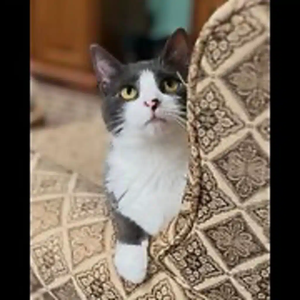 Episode 3003 CWSA 10/29/25