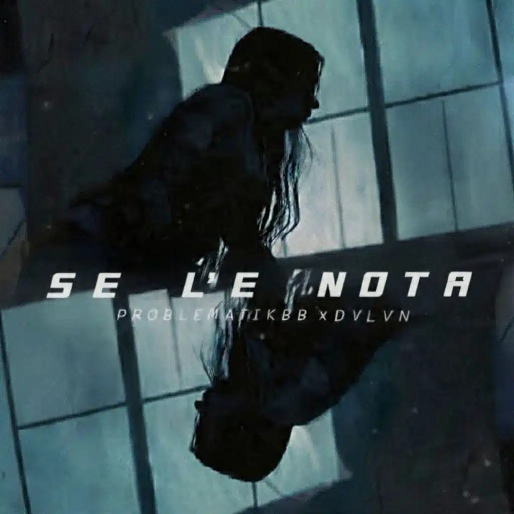 Dvlvn & problematikbb