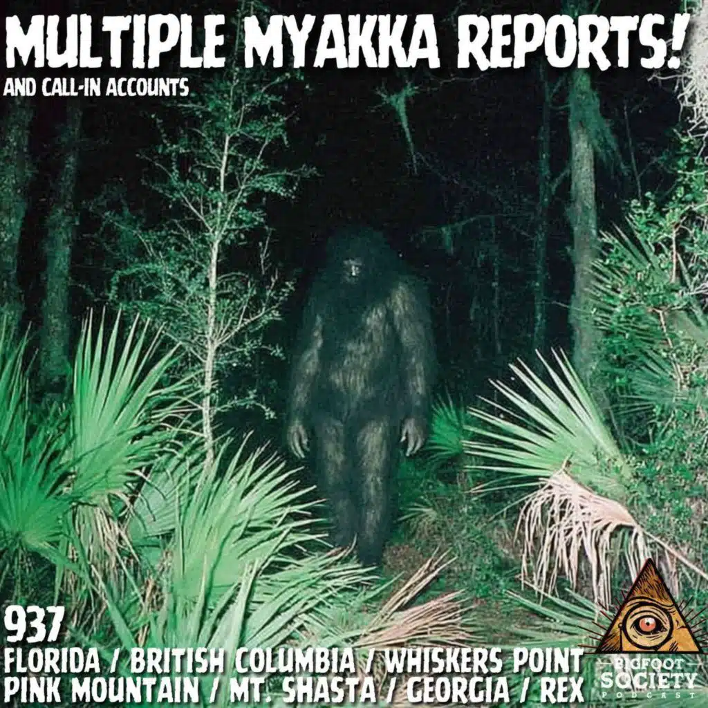 Government Interrogated Me After My Bigfoot Sighting!