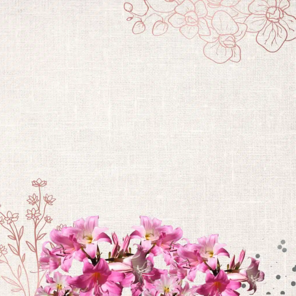 Sertanejo Bacanizado