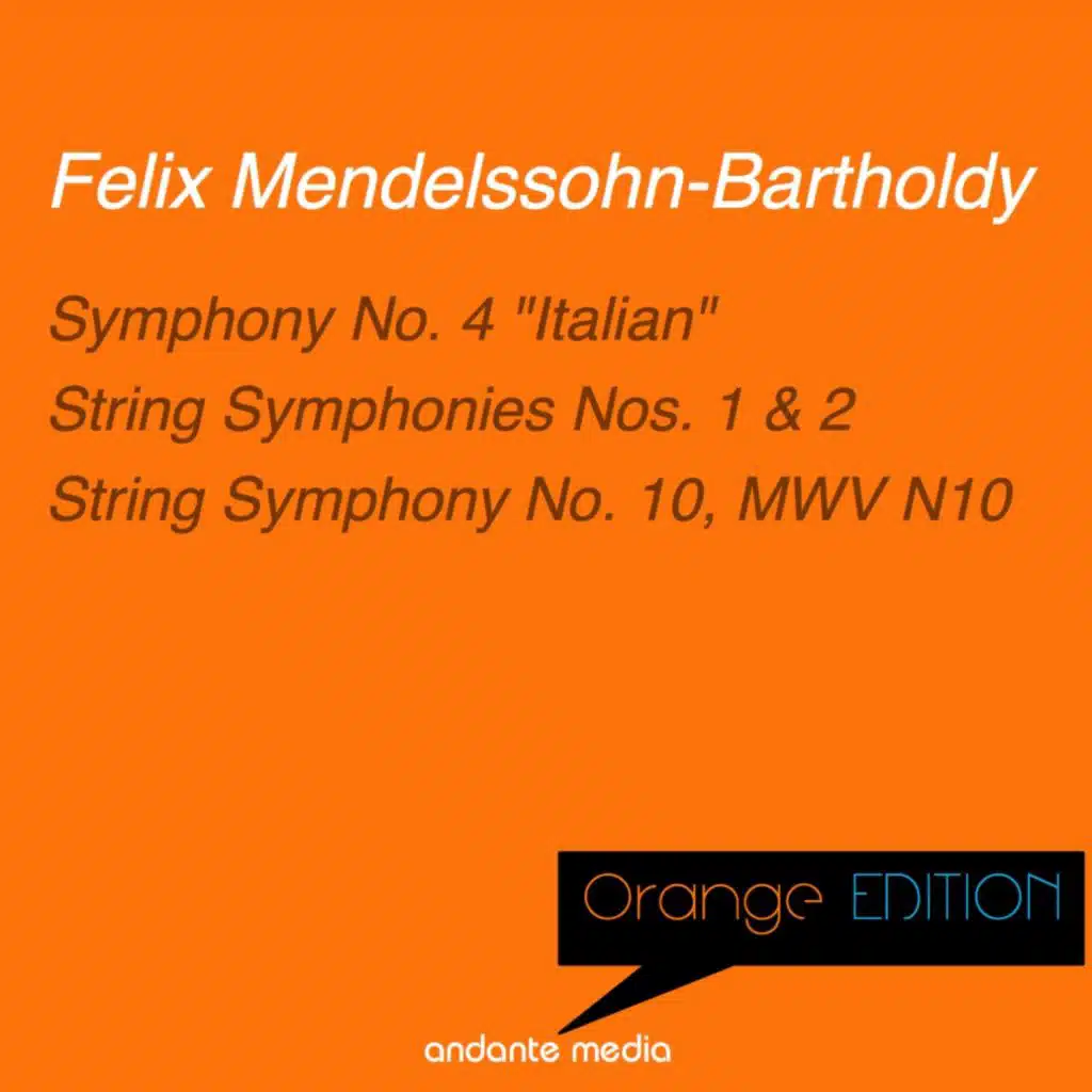 String Symphony No. 10 in B Minor, MWV N10: II. Allegro