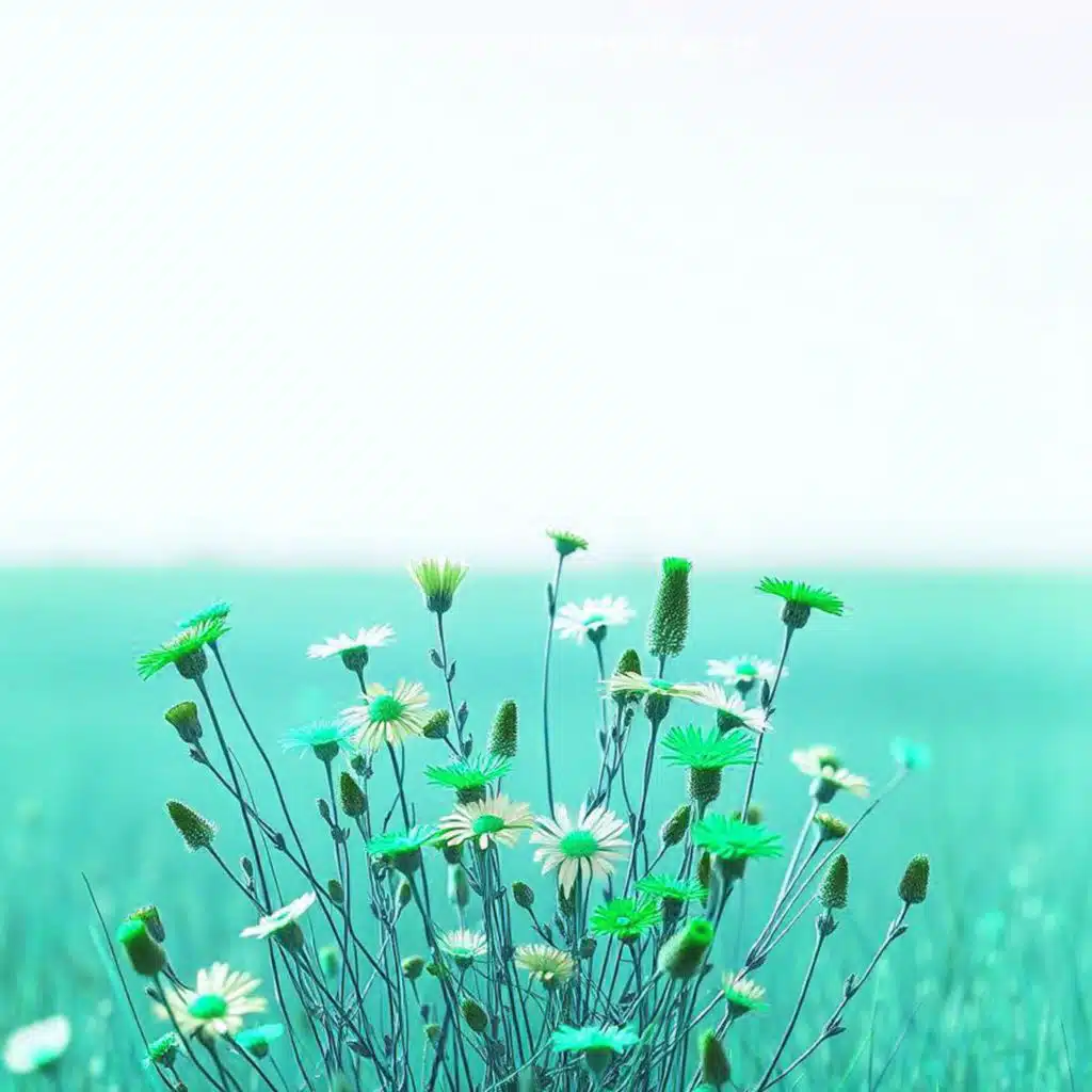 Moonlight on the Ranch