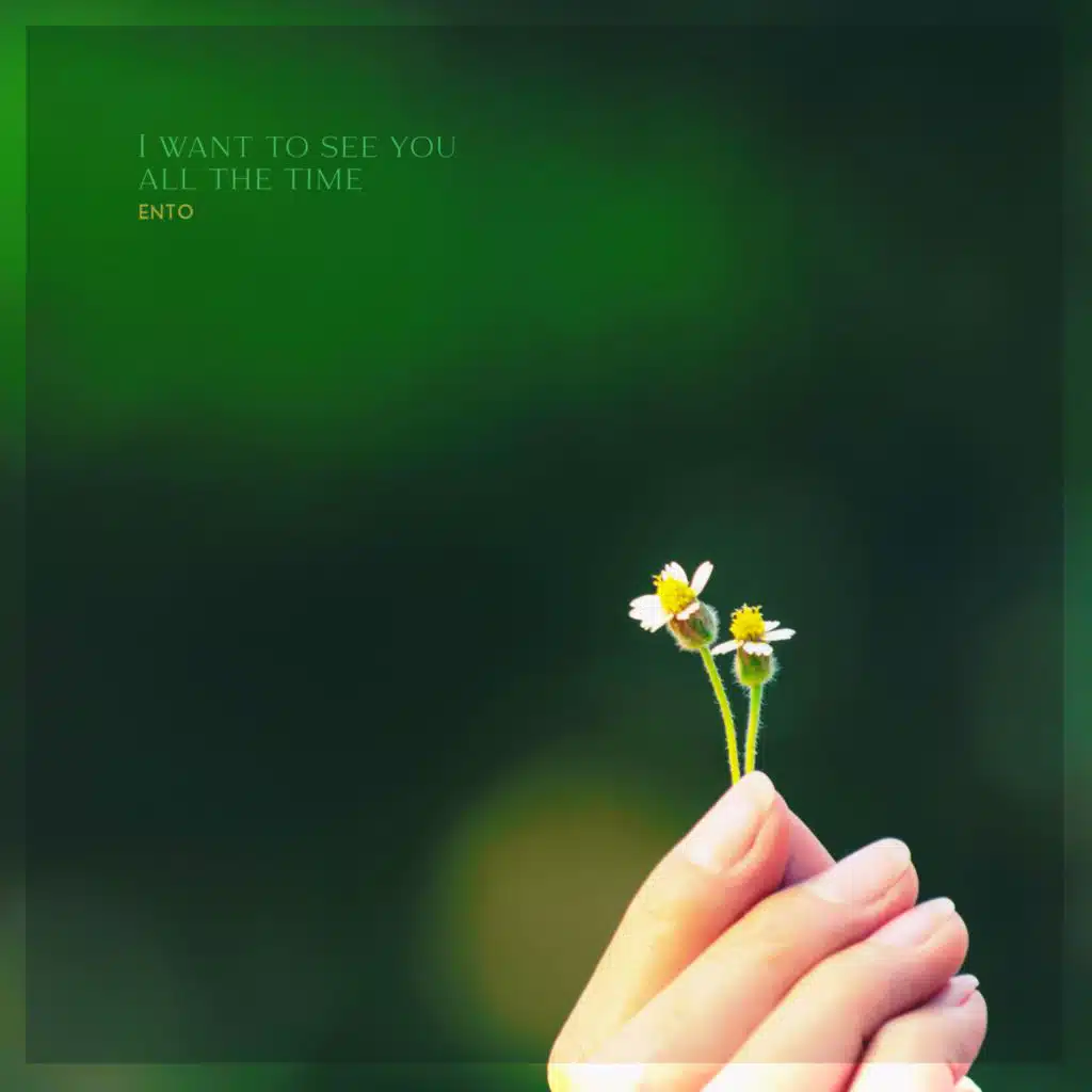 계속 보고 싶어