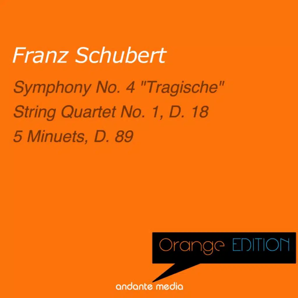 Symphony No. 4 in C Minor, D. 417 "Tragische": I. Adagio molto - Allegro Vivace