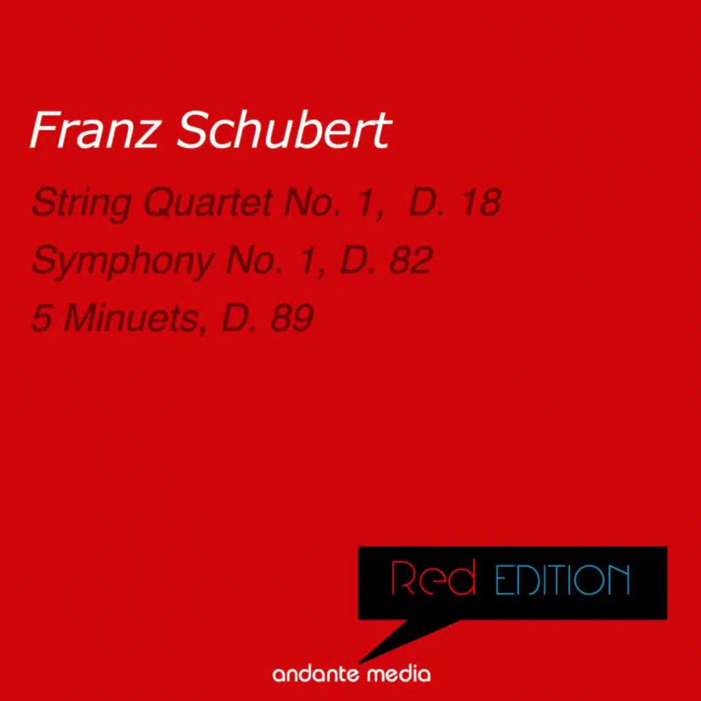 String Quartet No. 1 in C Minor, D. 18: I. Andante - Presto Vivace