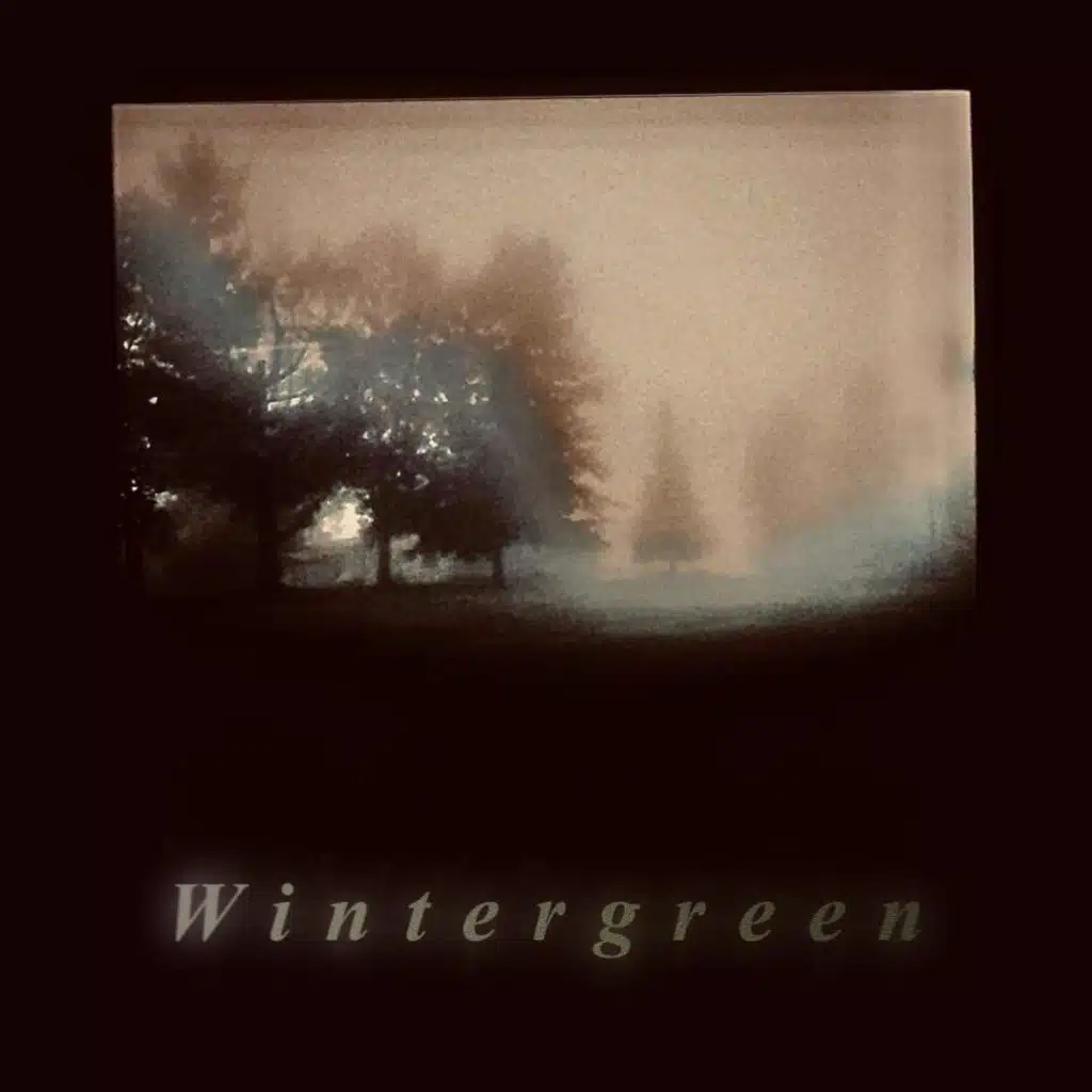 Wintergreen