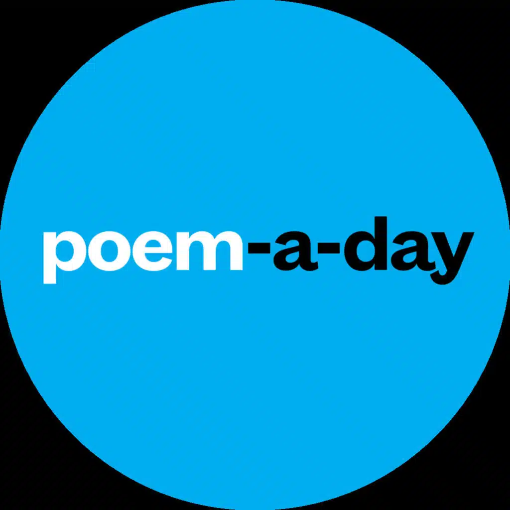 Ameen Animashaun: "The Dance of the Lambs and the Birds"