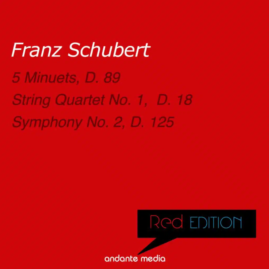 Symphony No. 2 in B-Flat Major, D. 125: I. Largo - Allegro Vivace