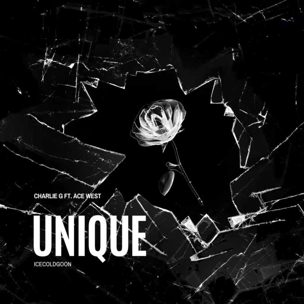 Unique (feat. Ace West)