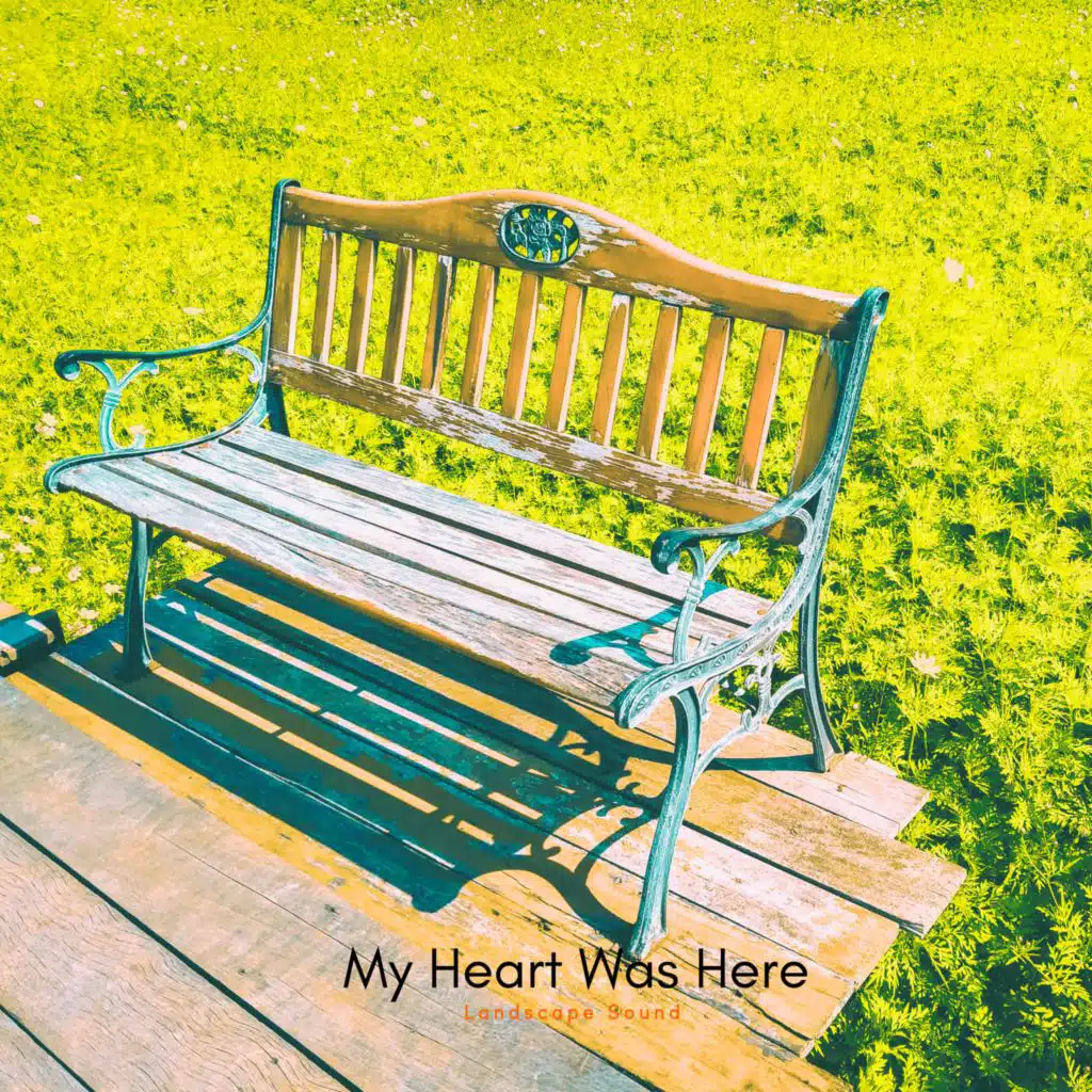 내 마음은 이곳에