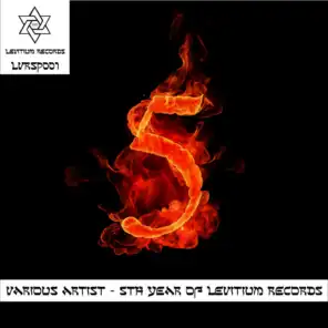 5th Year of Levitium Records