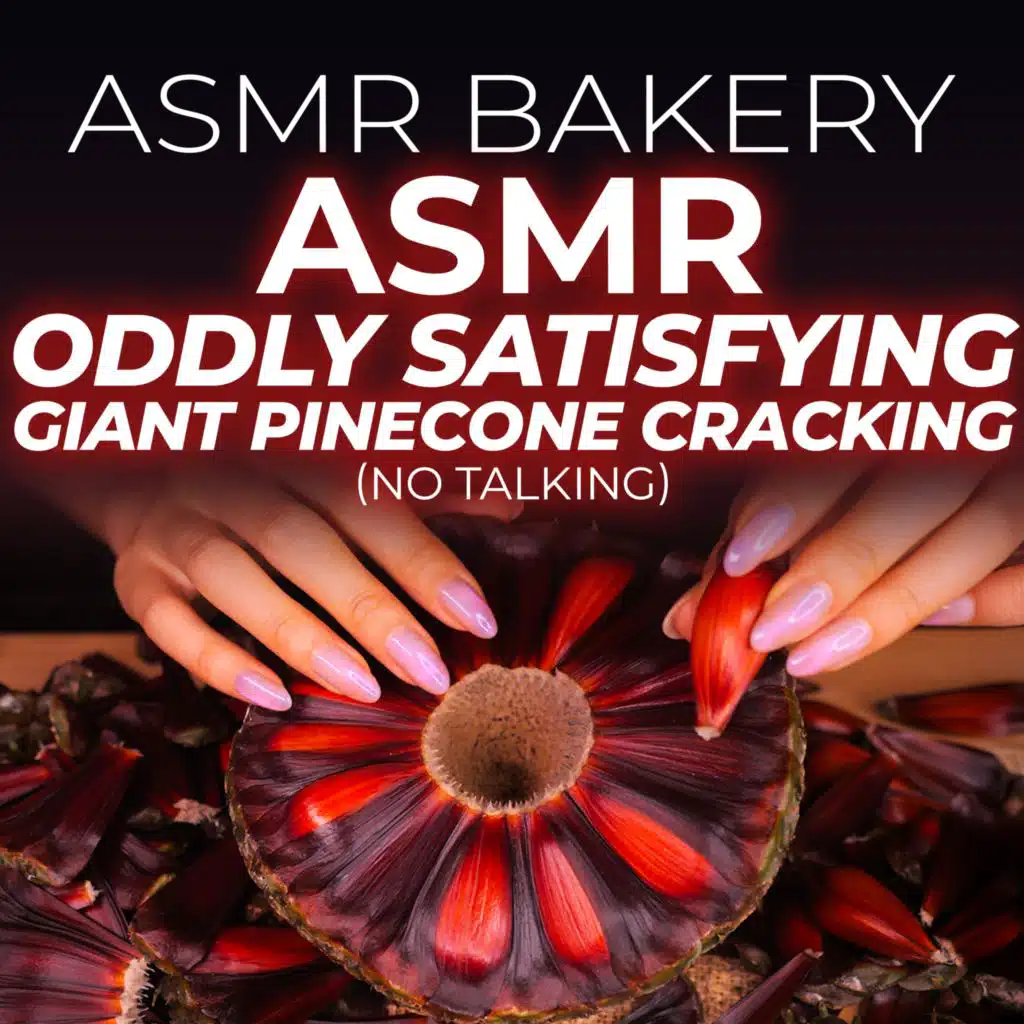 ASMR Oddly Satisfying Giant Pinecone Cracking (No Talking)
