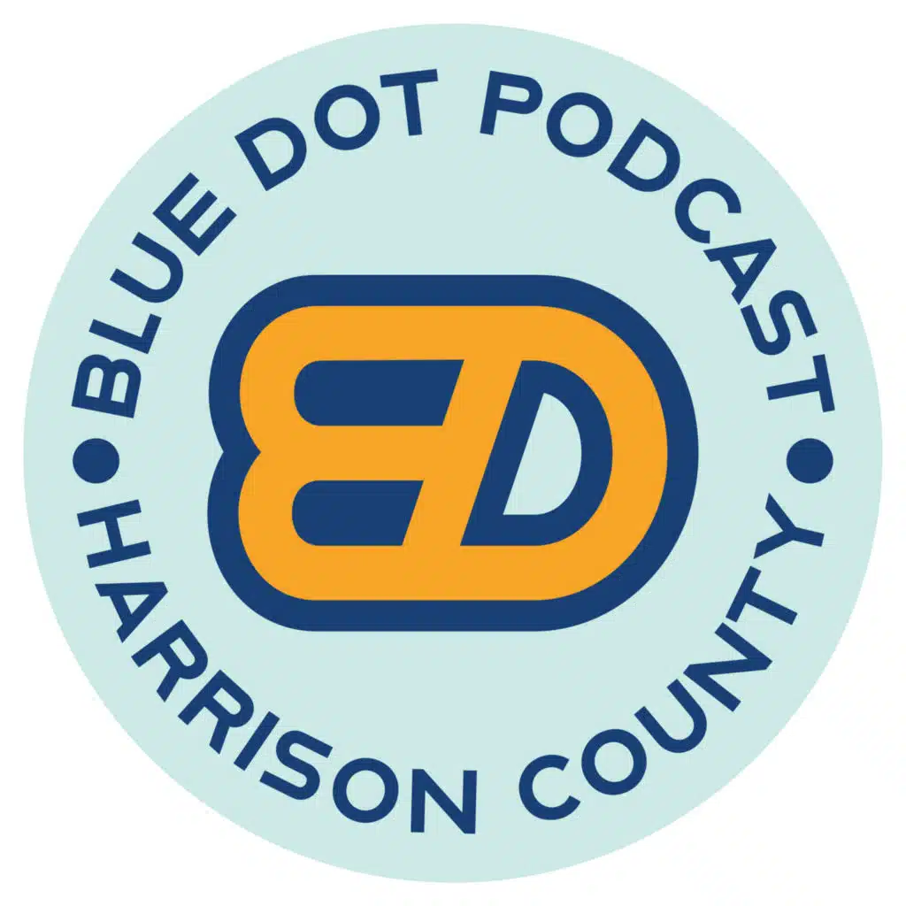 BLUE DOT: Episode 106: Disney Channel Original movies, tv, and our plans for next season