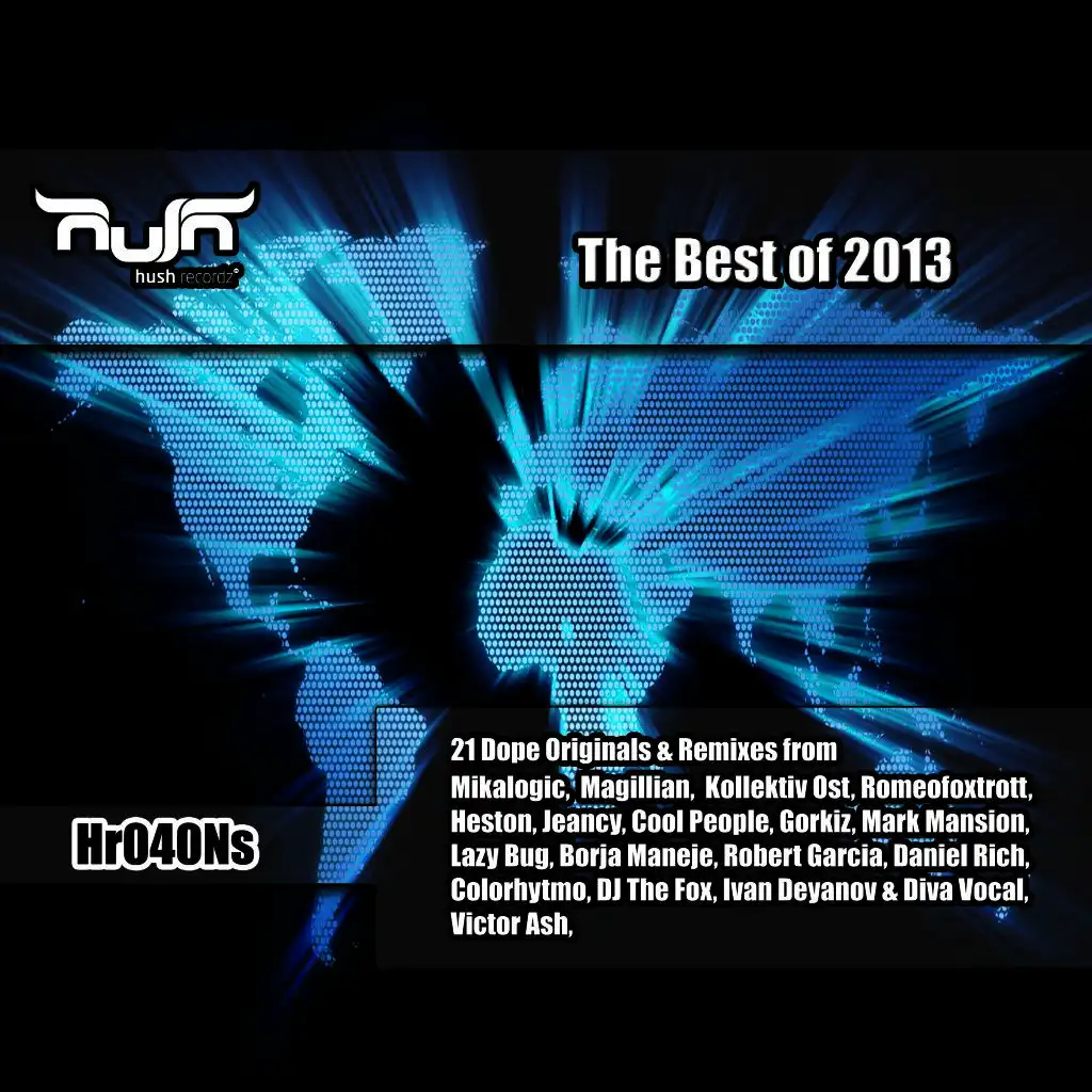 Hush Recordz - The Best of 2013