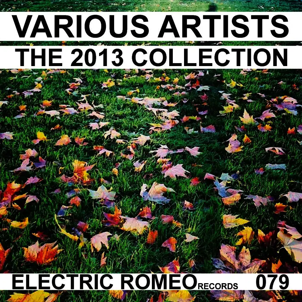 Bittersweet (Radio Edit)