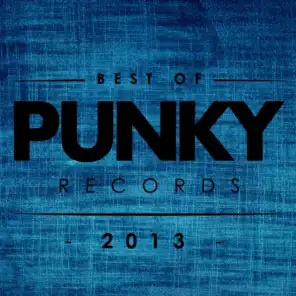 Best of Punky Records 2013