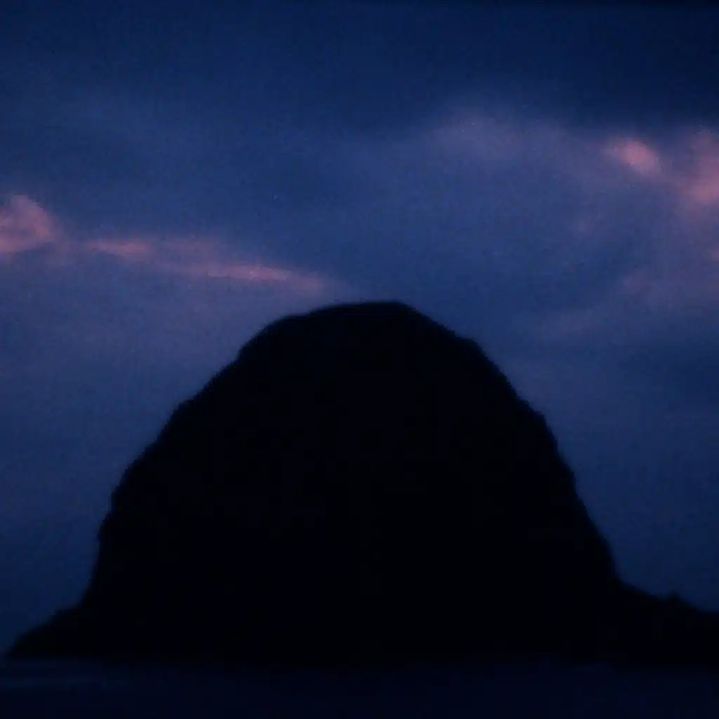 Rosa Canina (Mary Lattimore Rework)