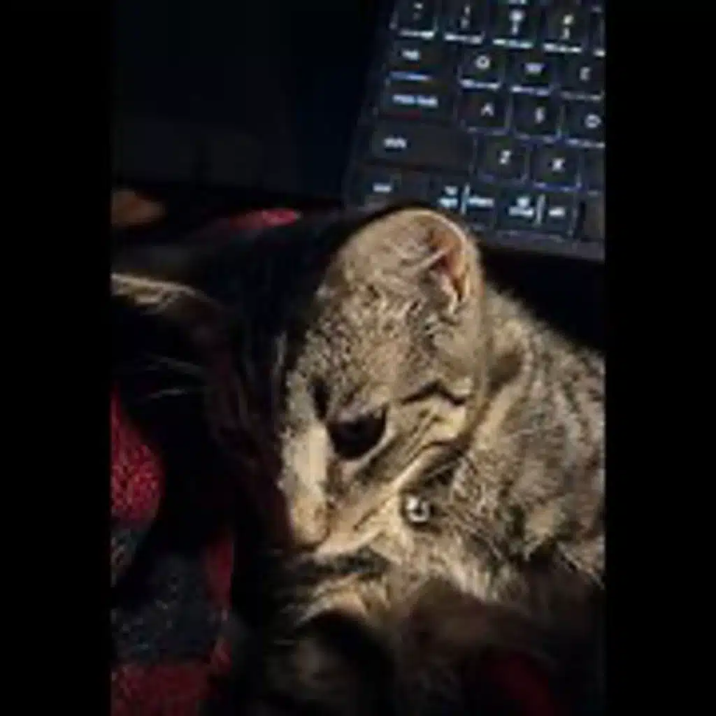 Episode 3004 CWSA 10/30/25