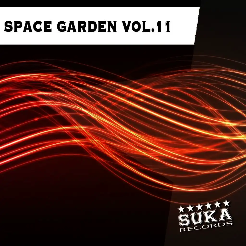 Space Garden, Vol. 11