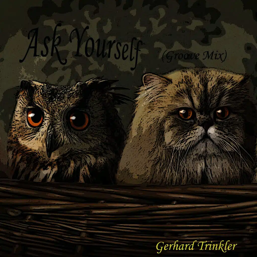 Ask Yourself (Groove Mix)