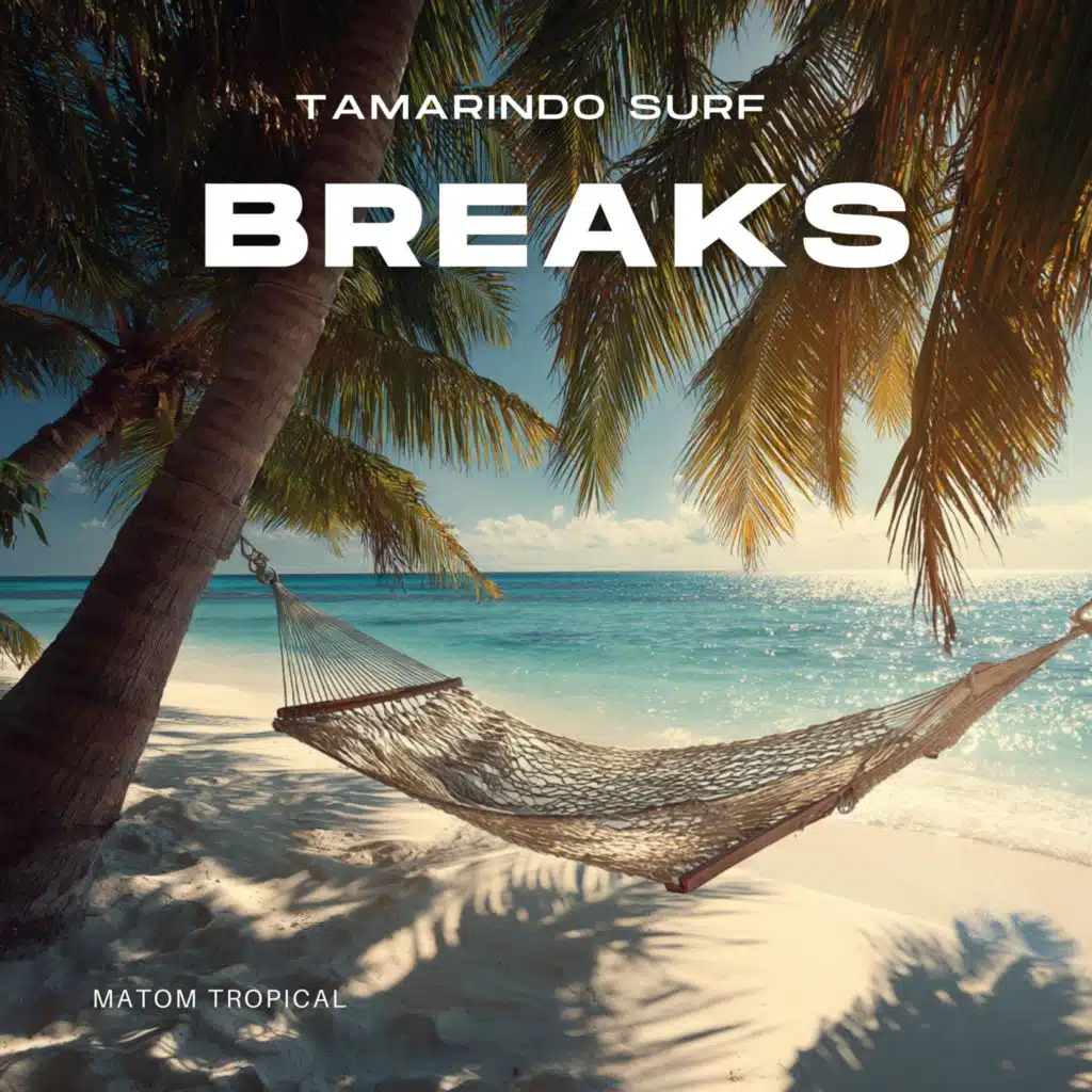 Tamarindo Surf Breaks