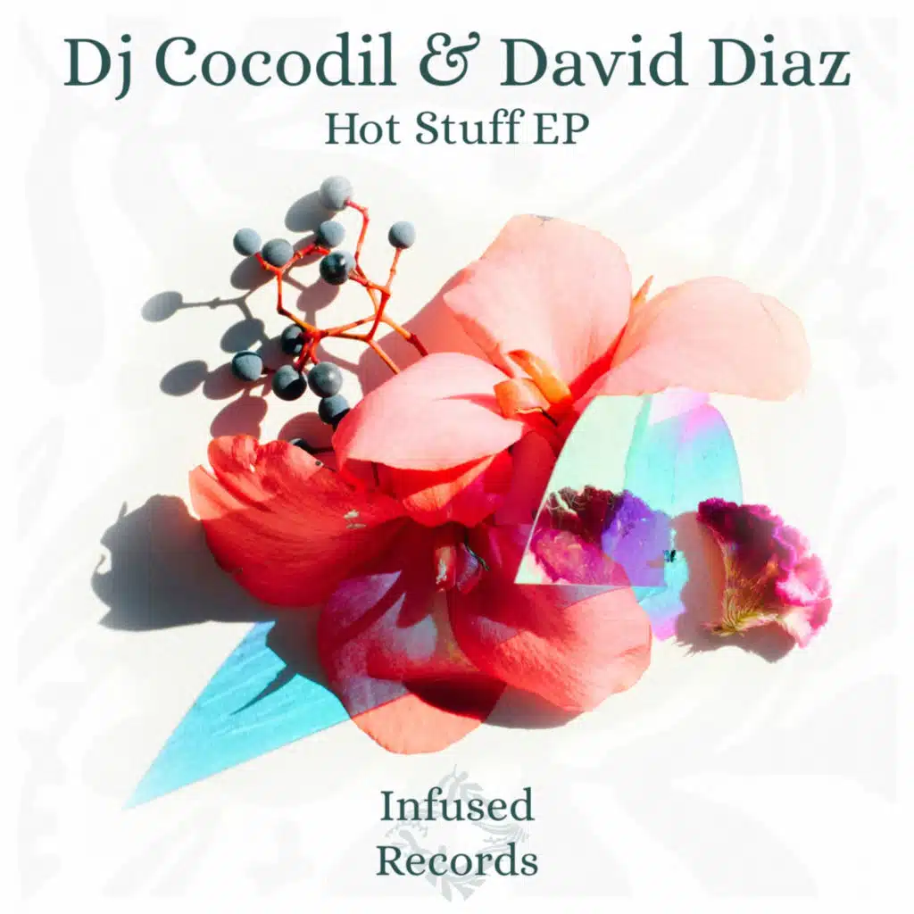 DJ Cocodil & David Diaz