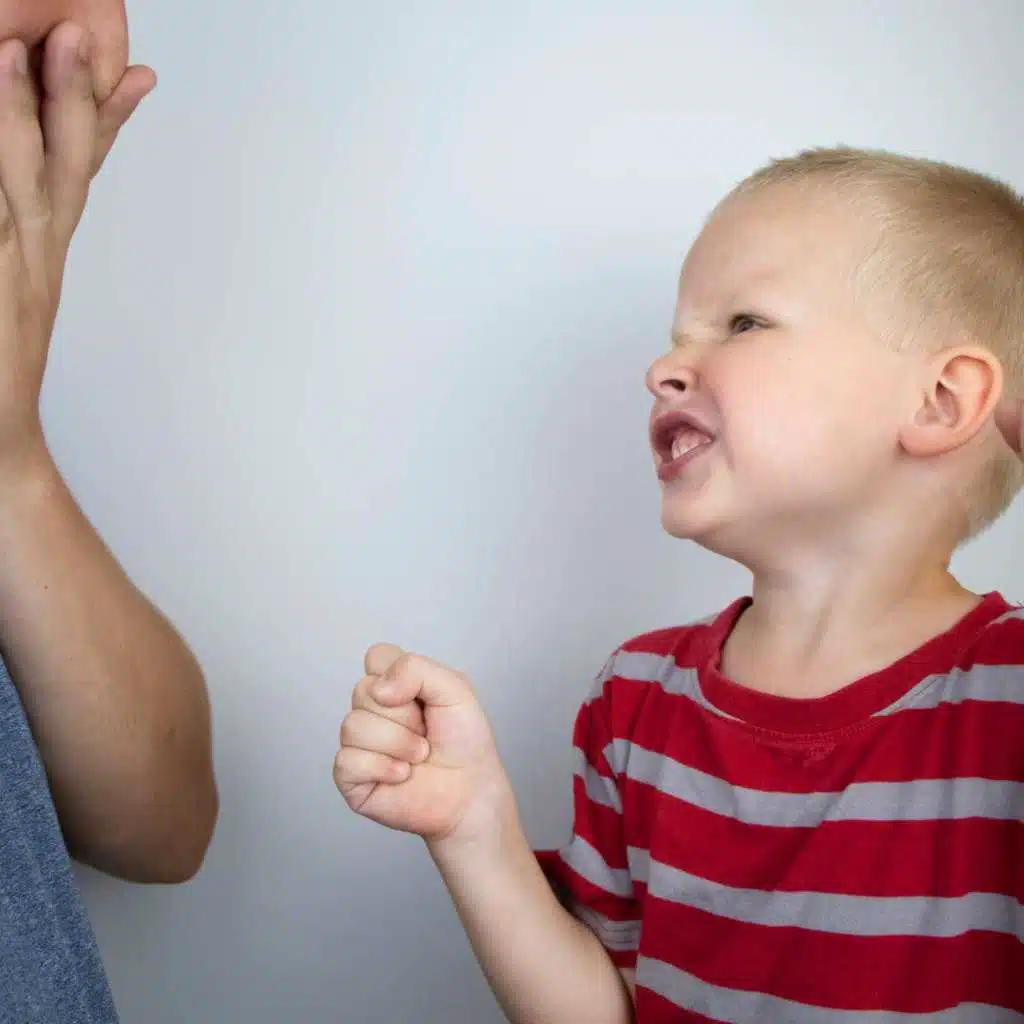 Dealing with Aggressive Behaviour with Tosha Schore: Episode 210