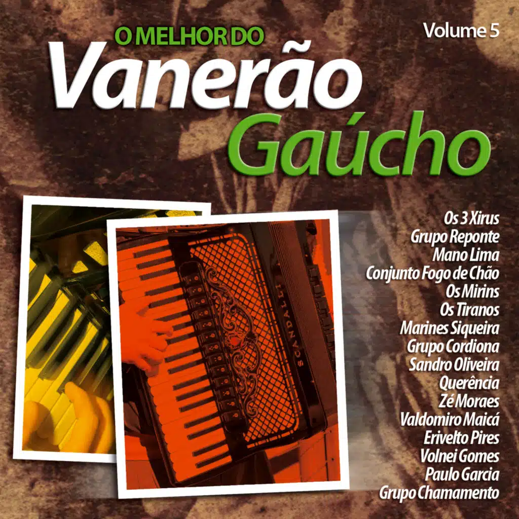 Melhor do Vanerão Gaúcho - Volume 5
