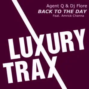 Agent Q & DJ Flore feat. Amrick Channa
