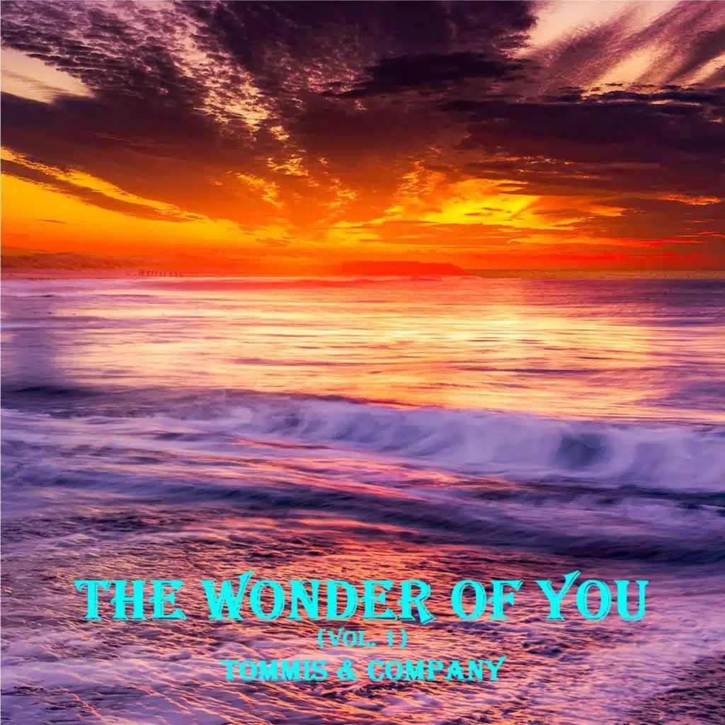 The Wonder of You, Vol. 1