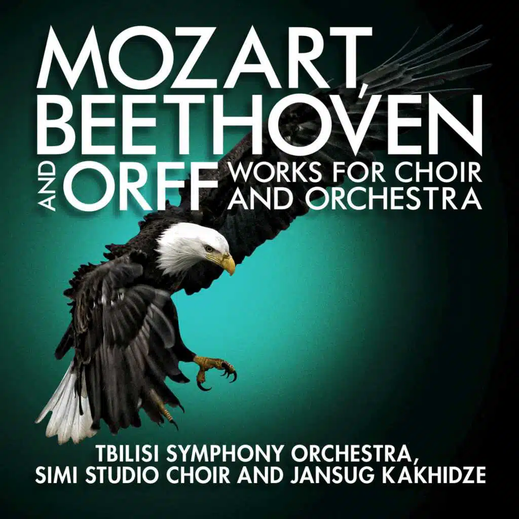 Symphony No. 9 in D Minor, Op. 125, "Choral": II. Molto vivace