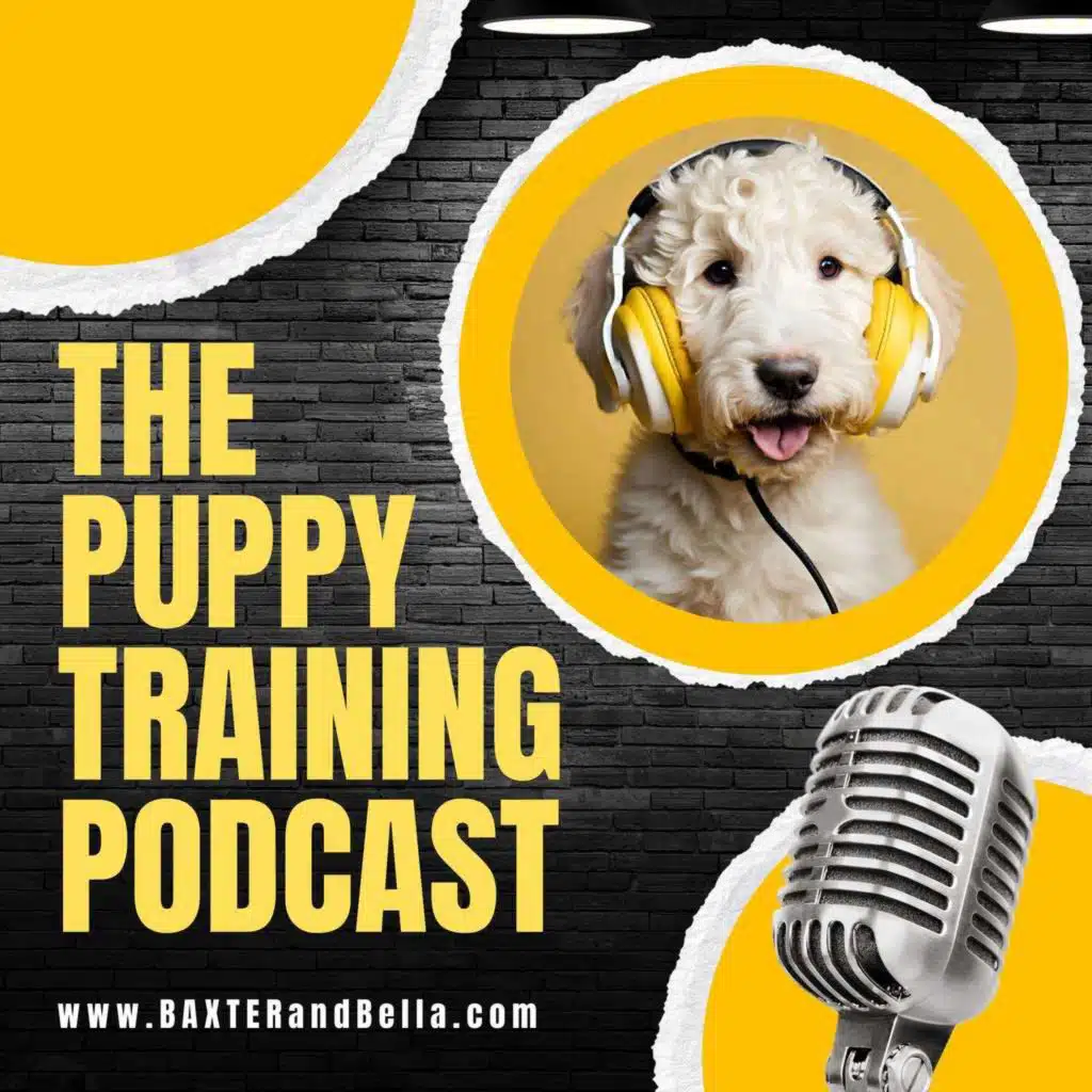 Episode #251 Cooperative Care — Training for Grooming, Vet Visits, and Touch