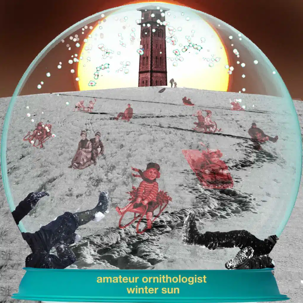 Amateur Ornithologist