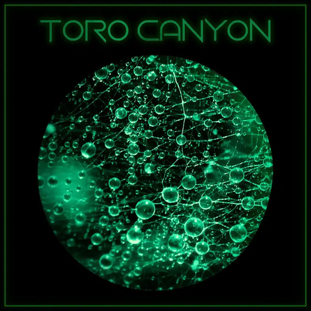 Toro Canyon