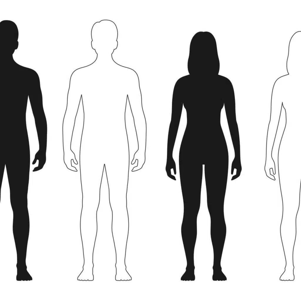 Le poids de la biologie dans les différences entre hommes et femmes