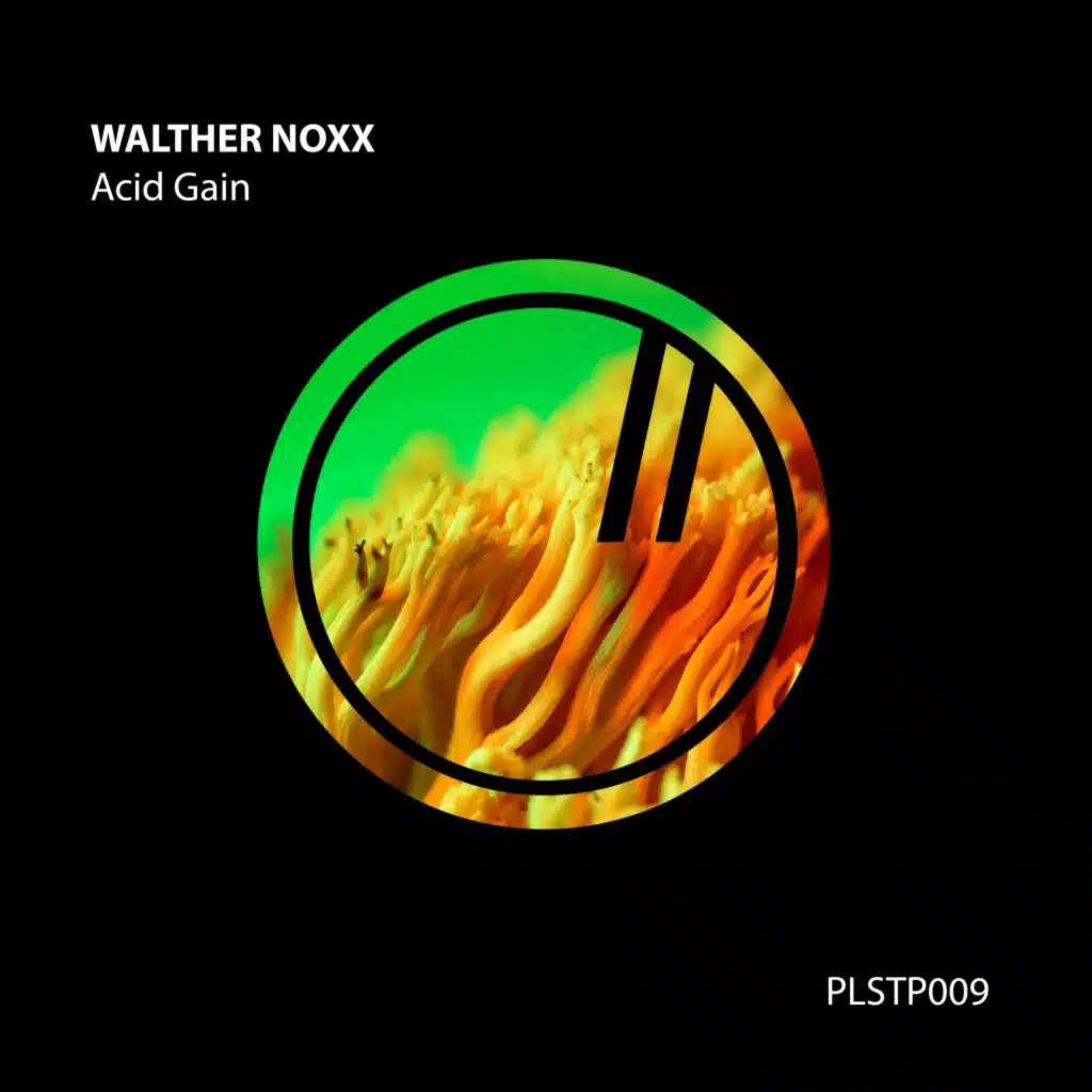 Walther Noxx